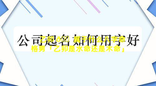 乙卯 🐠 属于什么八字命格男「乙卯是水命还是木命」